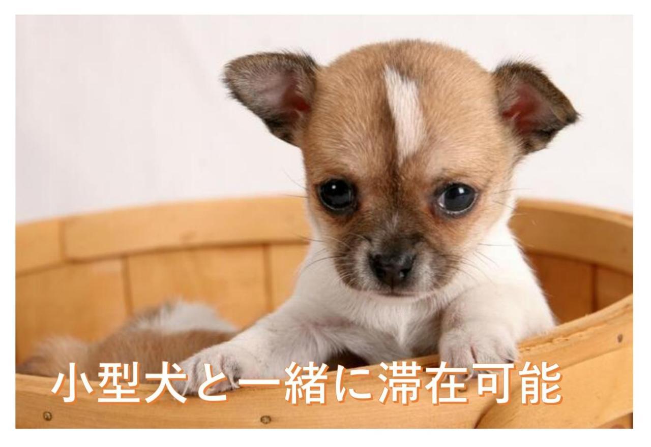 観光や仕事に便利ｻｰﾋﾞｽｱﾊﾟｰﾄﾒﾝﾄ札幌さくら2-2小型犬滞在可能 Apartamento Toyohira Exterior foto